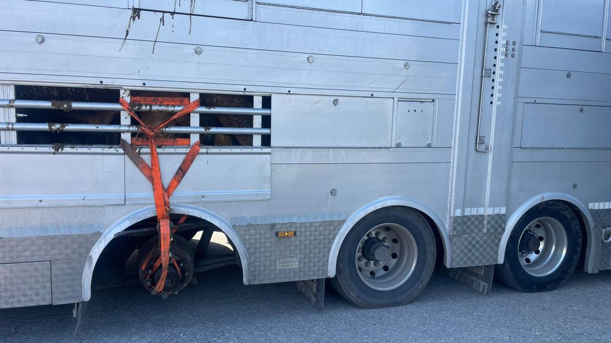 Jízda bez kola. Kamion v zoufalém stavu šokoval policisty na jihu Čech